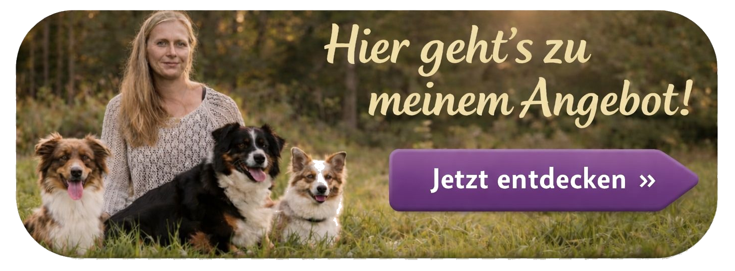 Angebot Hundeschule Gemeinsam-im-Einklang Falkenbach Freyung Melanie Reitmaier